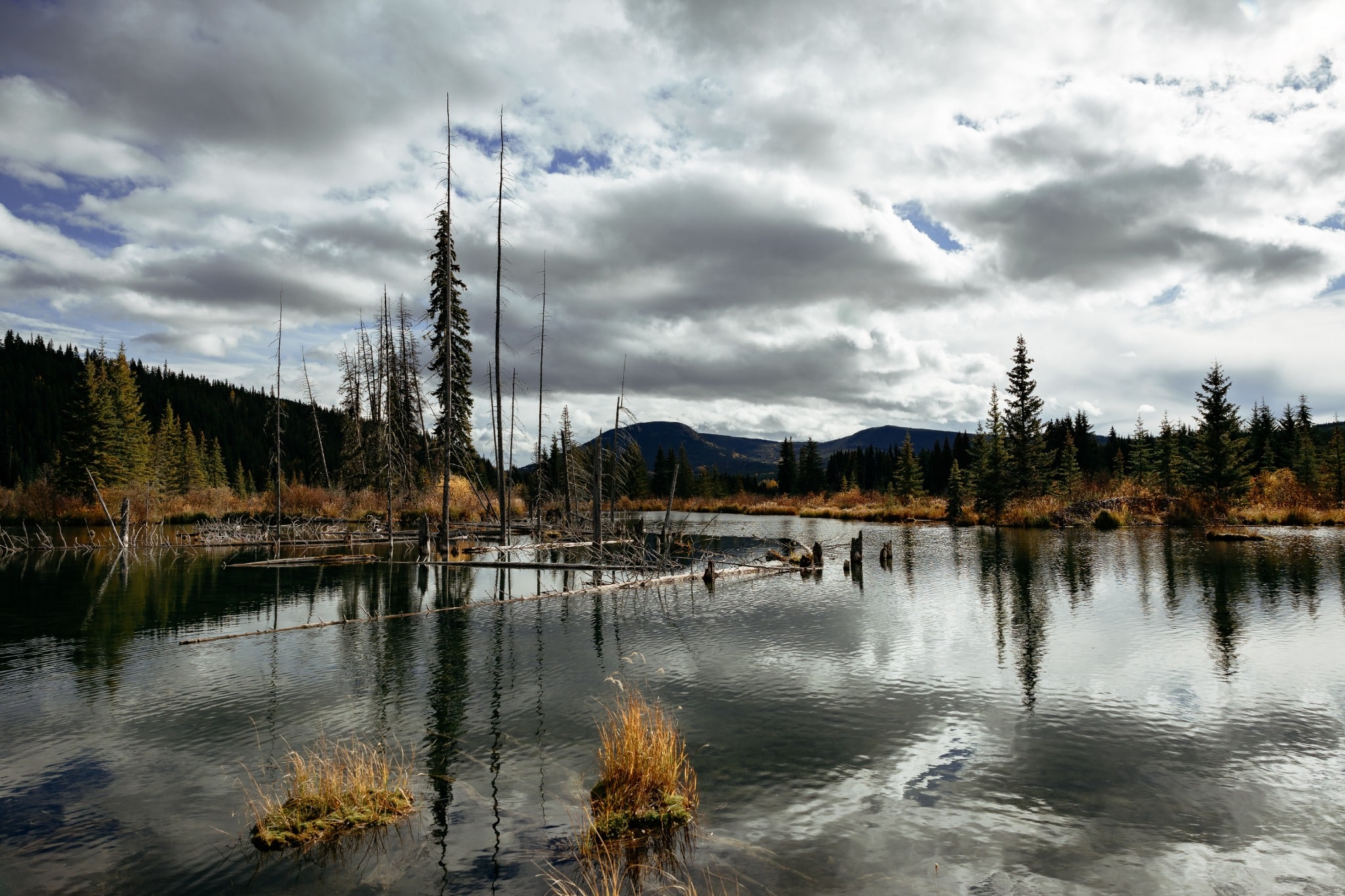 Yukon Watson Lake meer met bomen en bergen
