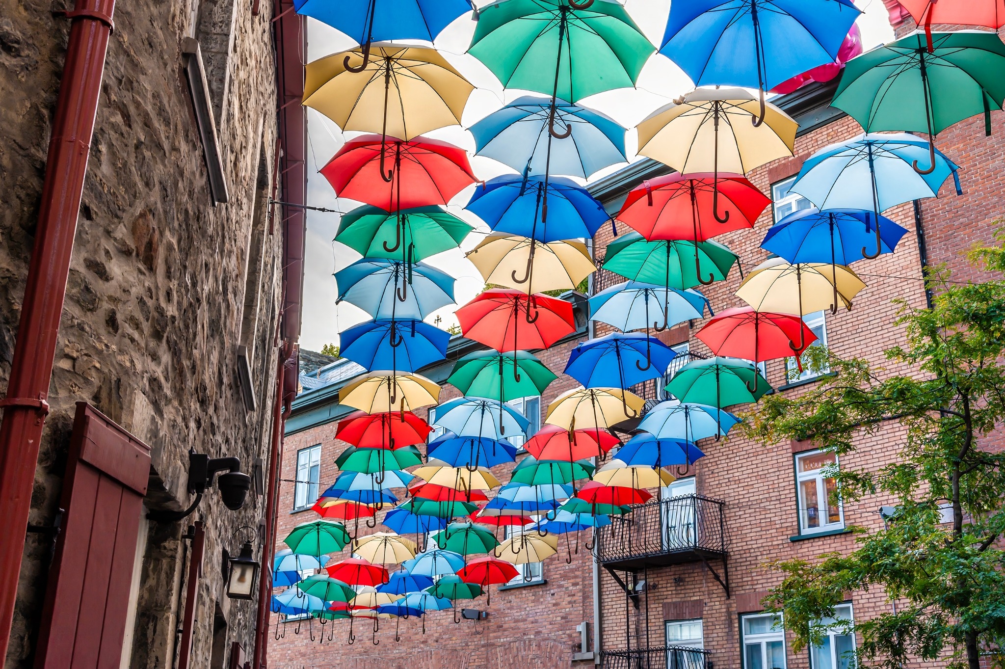Oost Canada QC Quebec City Paraplu straatkunst in Oud Quebec